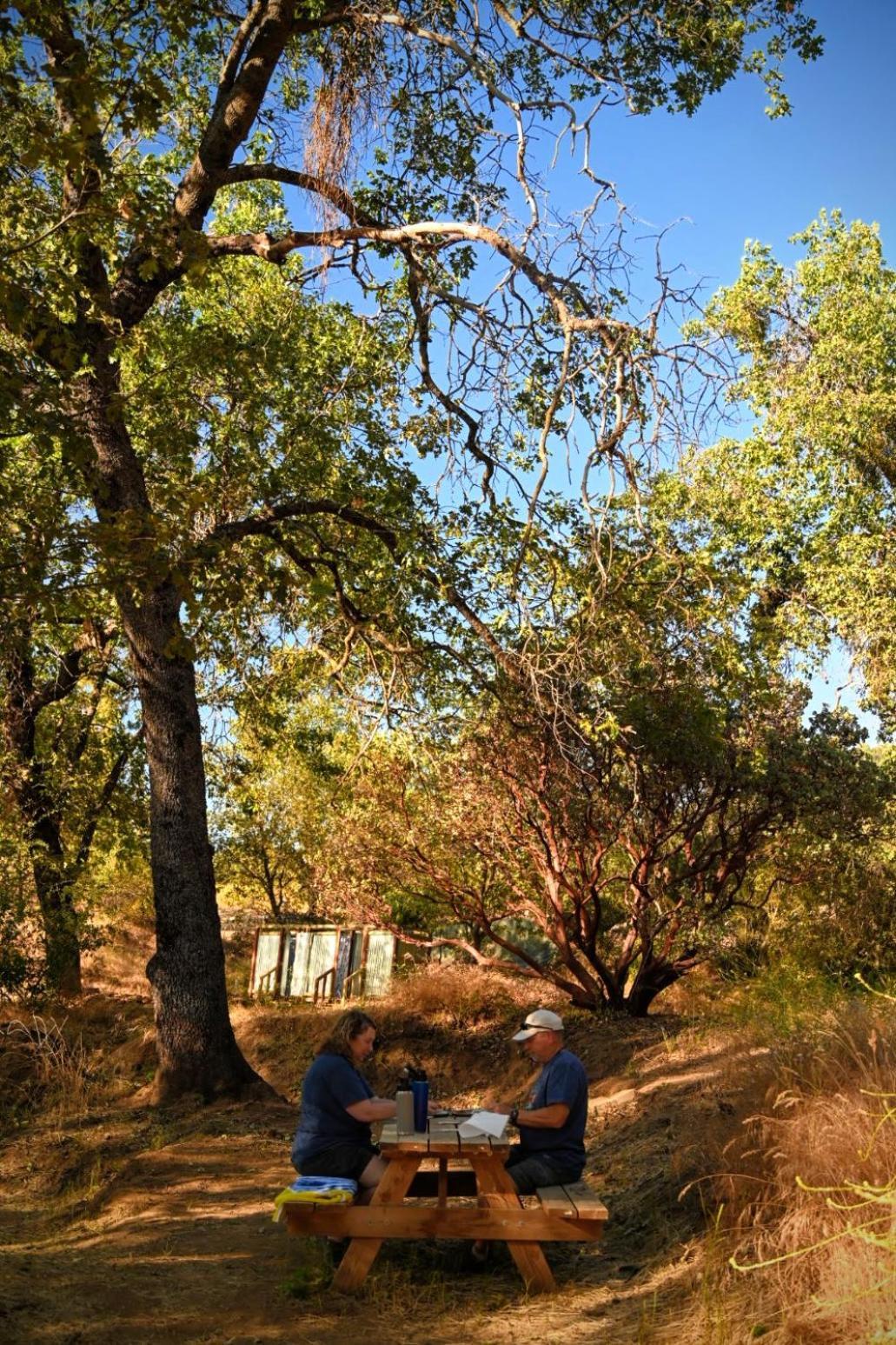 Campground At Sequoia Mountain Farms - Bring Your Own Tent Or Rv - No Bedrooms Or Beds Provided Miramonte Exteriör bild