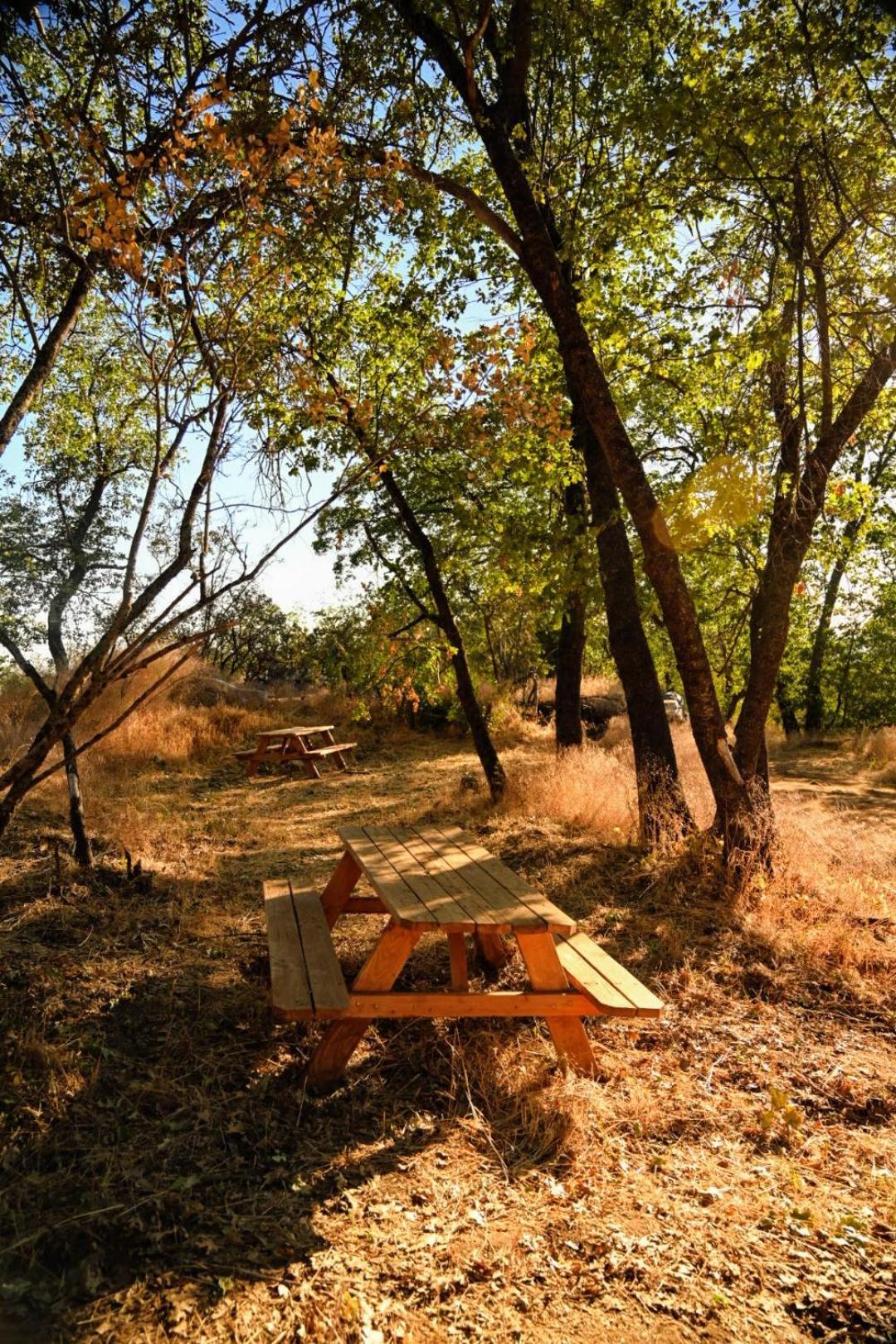 Campground At Sequoia Mountain Farms - Bring Your Own Tent Or Rv - No Bedrooms Or Beds Provided Miramonte Exteriör bild
